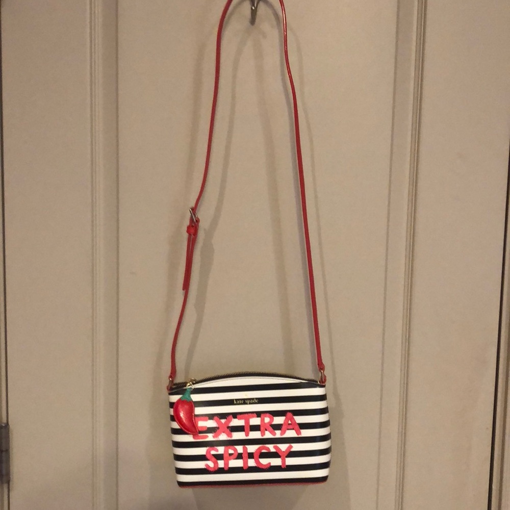 Kate Spade Extra Spicy purse.